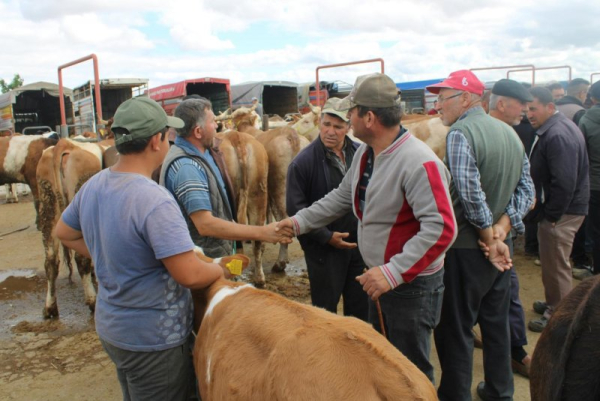 Study: Deaths from cardiovascular disease surge among adults 25-64 in rural areas Study: Deaths from cardiovascular disease surge among adults 25-64 in rural areas