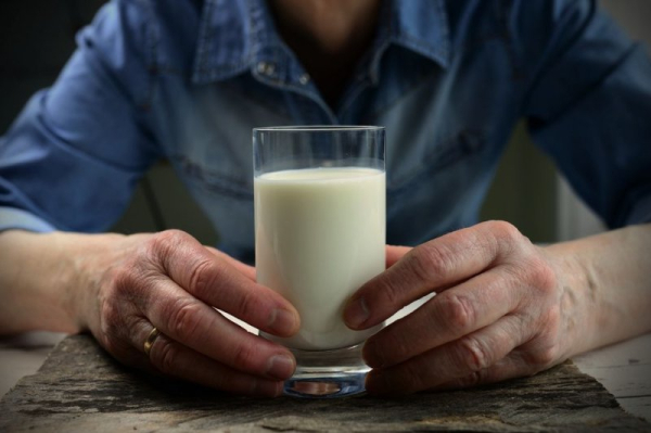 Horizon Organic recalls rapidly spoiling milk