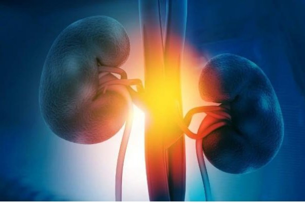 GLP-1 medications show promise in slowing kidney disease progression