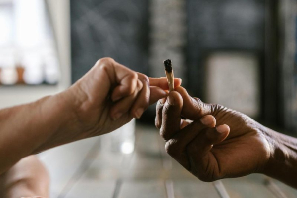 Marijuana addiction increases risk for premature death, Canadian study finds