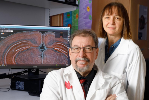 Warning to moms-to-be: Common medications could hamper fetal brain development