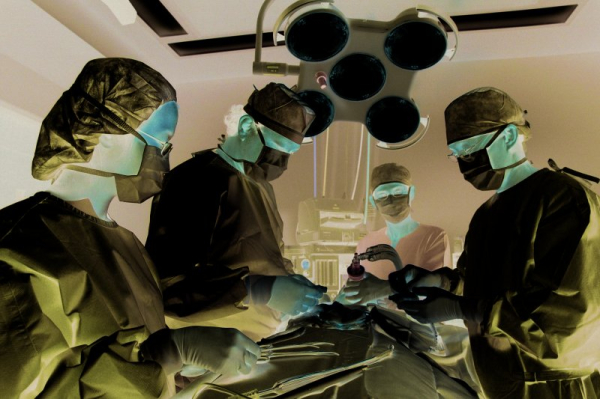 Bio-engineered kidney transplant offers hope for millions