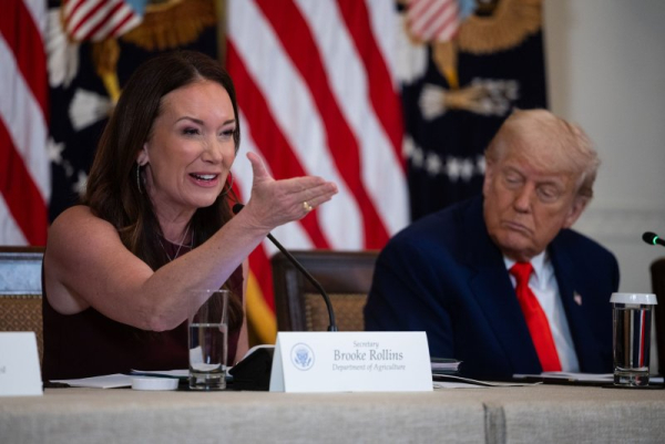 Report blames processed foods, poor lifestyles for health epidemic