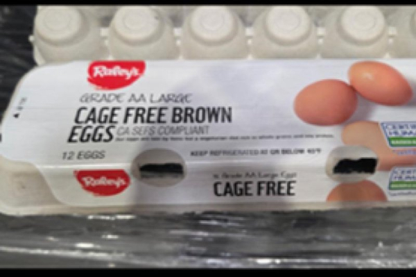 Eggs recalled in salmonella outbreak after 79 people fall ill