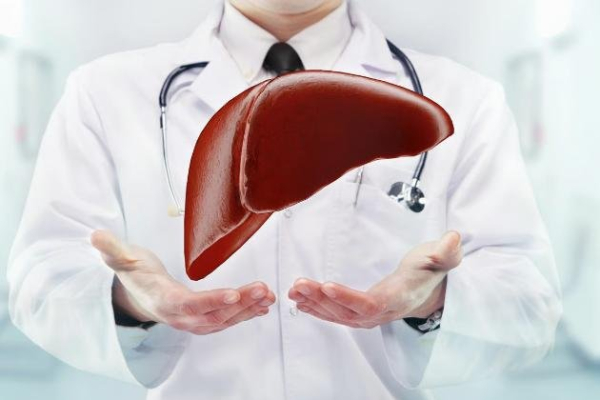 Most liver cancers are preventable, study says