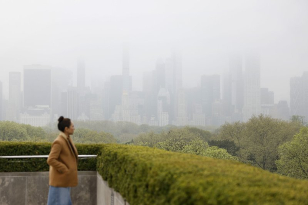 Access to green spaces helped guard against depression during pandemic