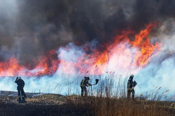 Study: Wildfire smoke kills 41K people in U.S. per year