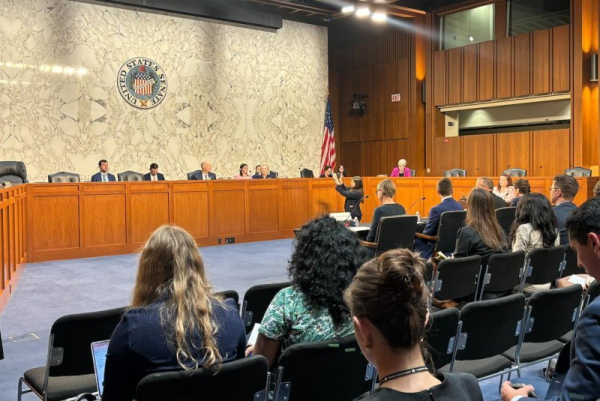 Senators: Dependence on foreign drug supplies threatens security, health