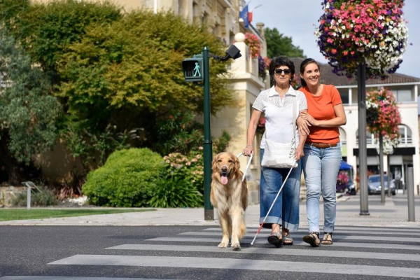 Genetics don't always lead to vision loss and blindness